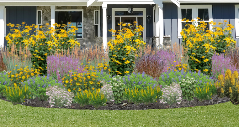 Giant's Garden Native Garden