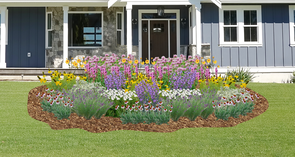 Great Plains Habitat Hero Native Garden