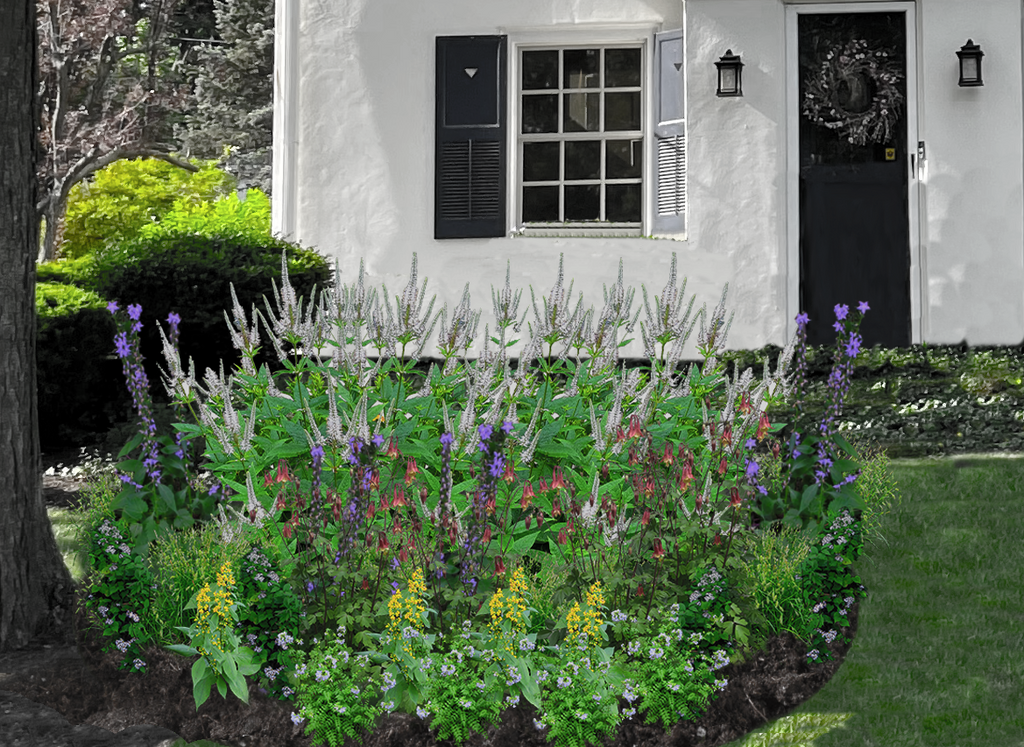 Made in the Shade Native Garden