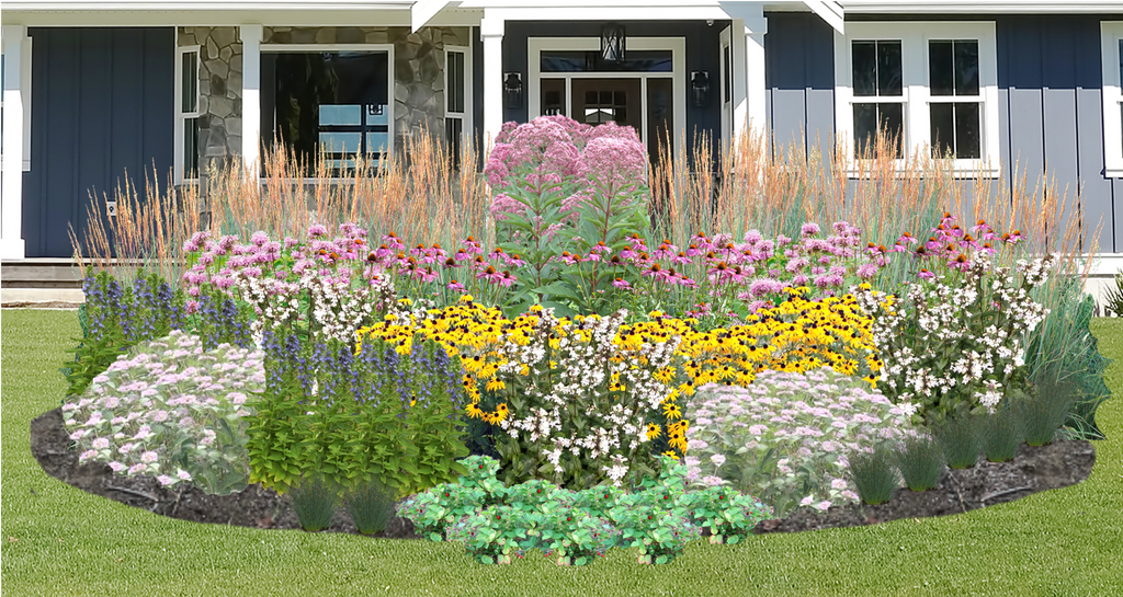 Misty Meadow Native Garden