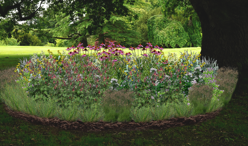 Pollinator Party Native Garden