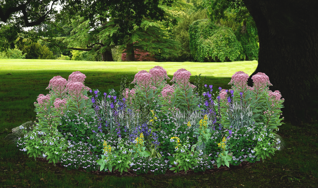 Shaded Splendor Native Garden