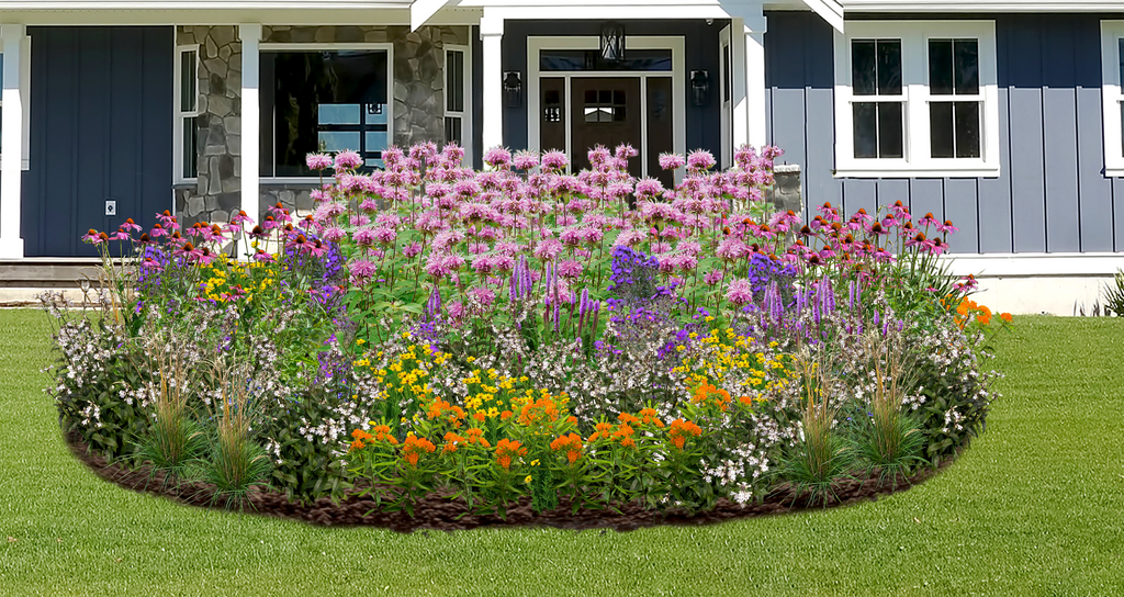 Summer Breeze Native Garden