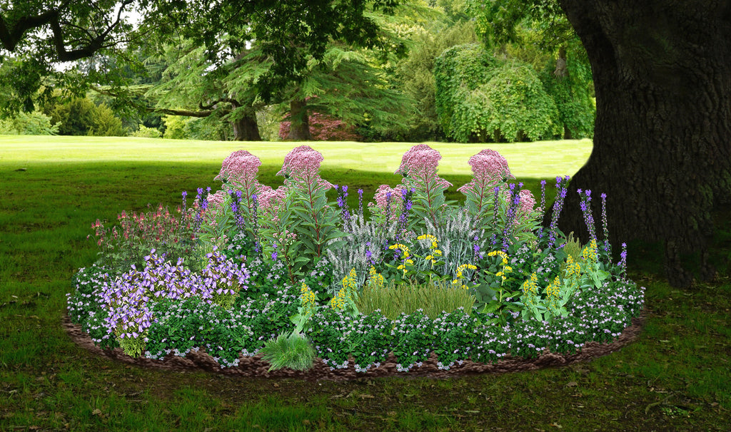 Understory Glory Native Garden