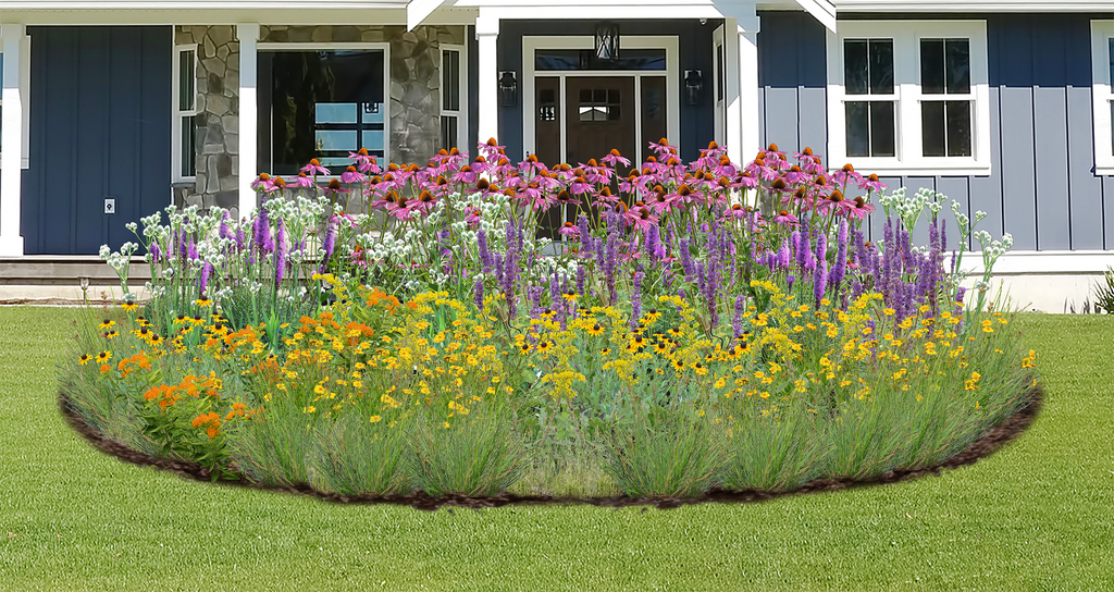 Wondrous Wildflowers Native Garden