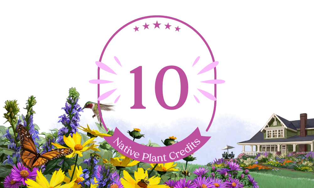Donate a Plant - Support Wild Ones