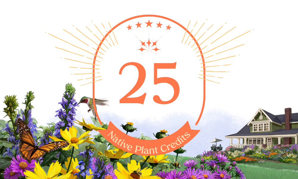 Donate a Plant - Support Wild Ones