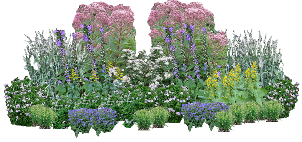 Shade Brigade Perennial Native Plants Collection [48 Plants]