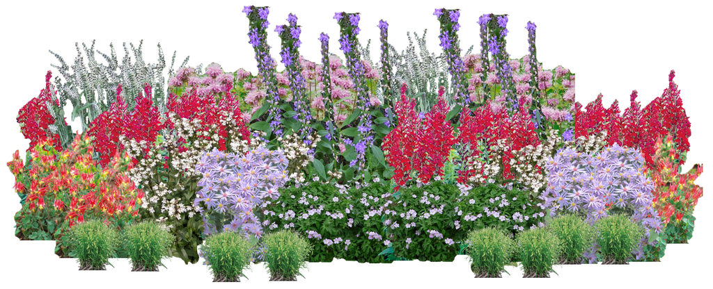 Hummingbird Haven Perennial Native Plants Collection [48 plants]