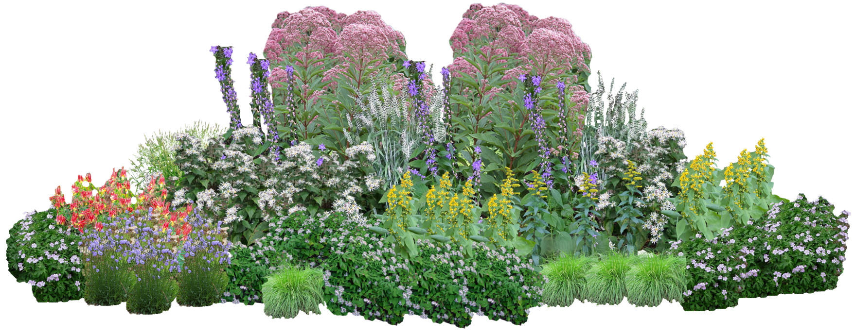 Shaded Glory Perennial Native Plants Collection [96 Plants]