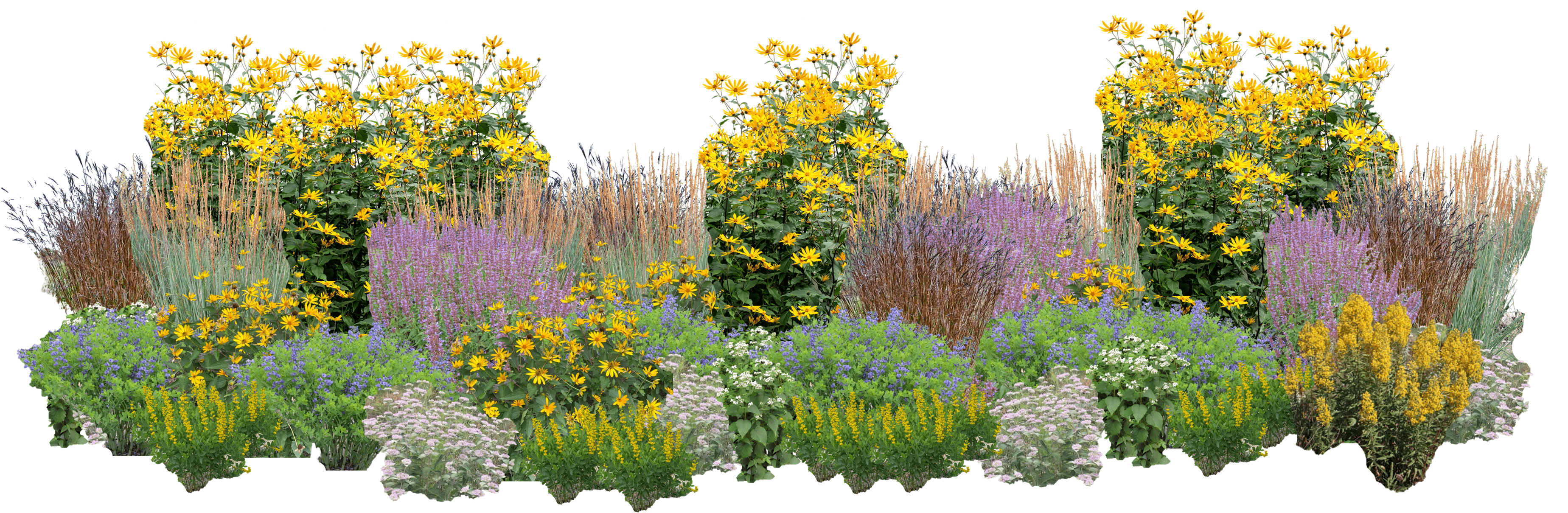 Giant's Garden Perennial Native Plants Collection [96 Plants]