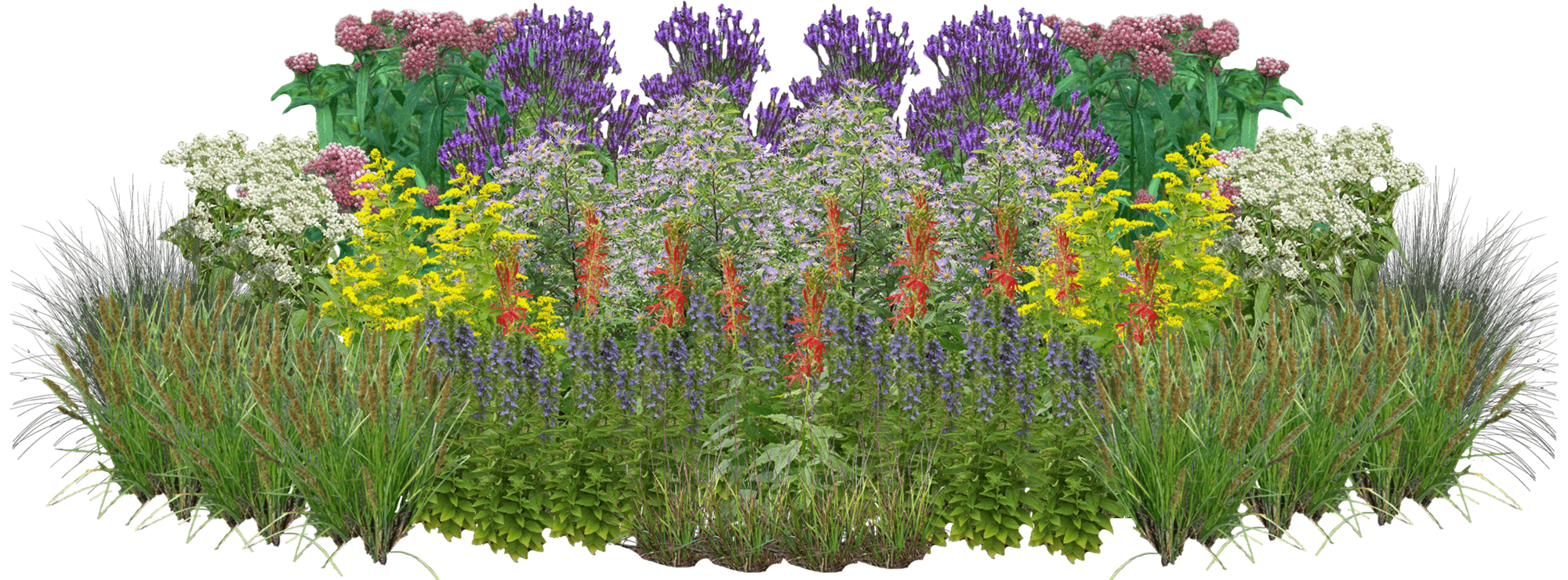 Rainy Day Delight Perennial Native Plant Rain Garden [96 Plants]