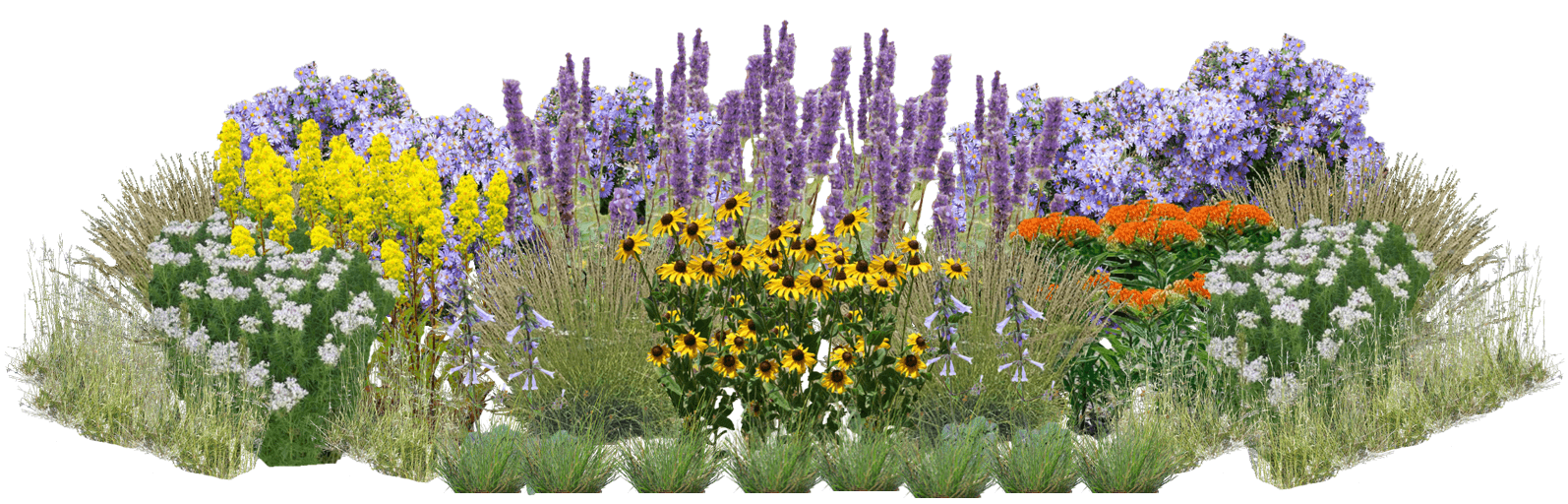 Butterfly Boulevard Perennial Native Plants Collection [64 plants]