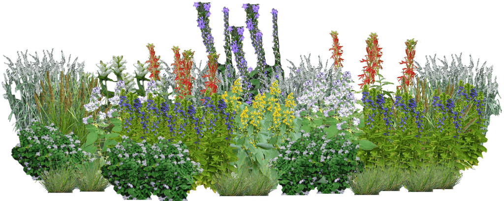 Pollinator Patriots Perennial Native Plants Collection [64 plants]