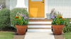 Butterfly Balcony Container Garden