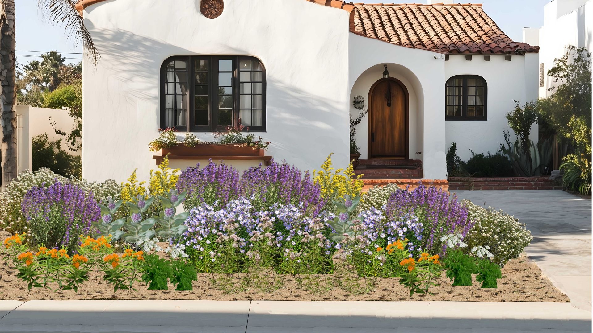 Butterfly Host Native Garden