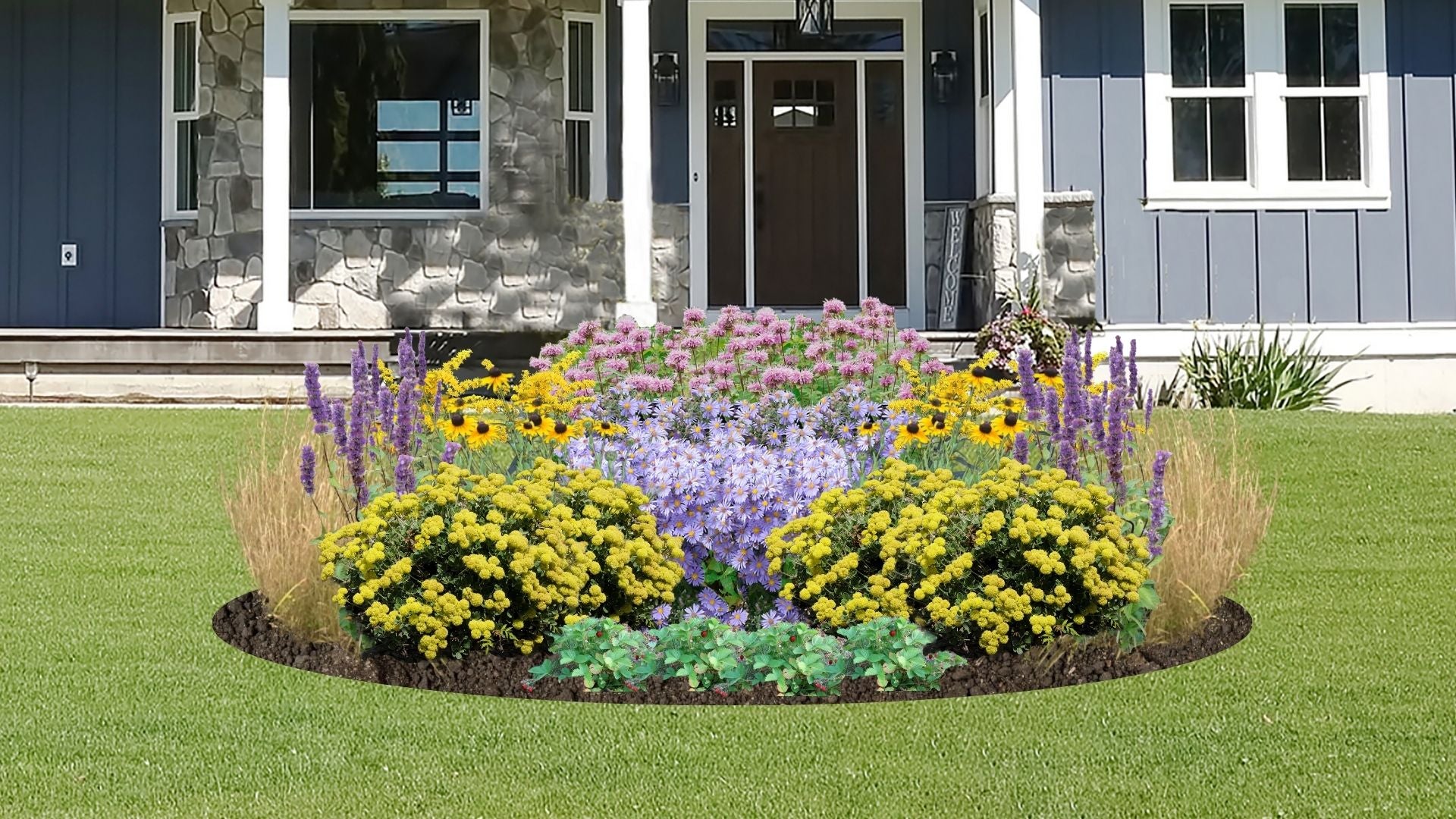 Native Plants for Clay Soil