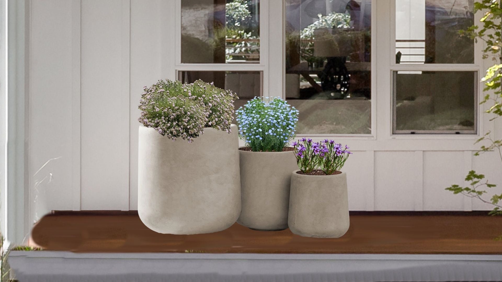Coastal Blue Native Container Garden