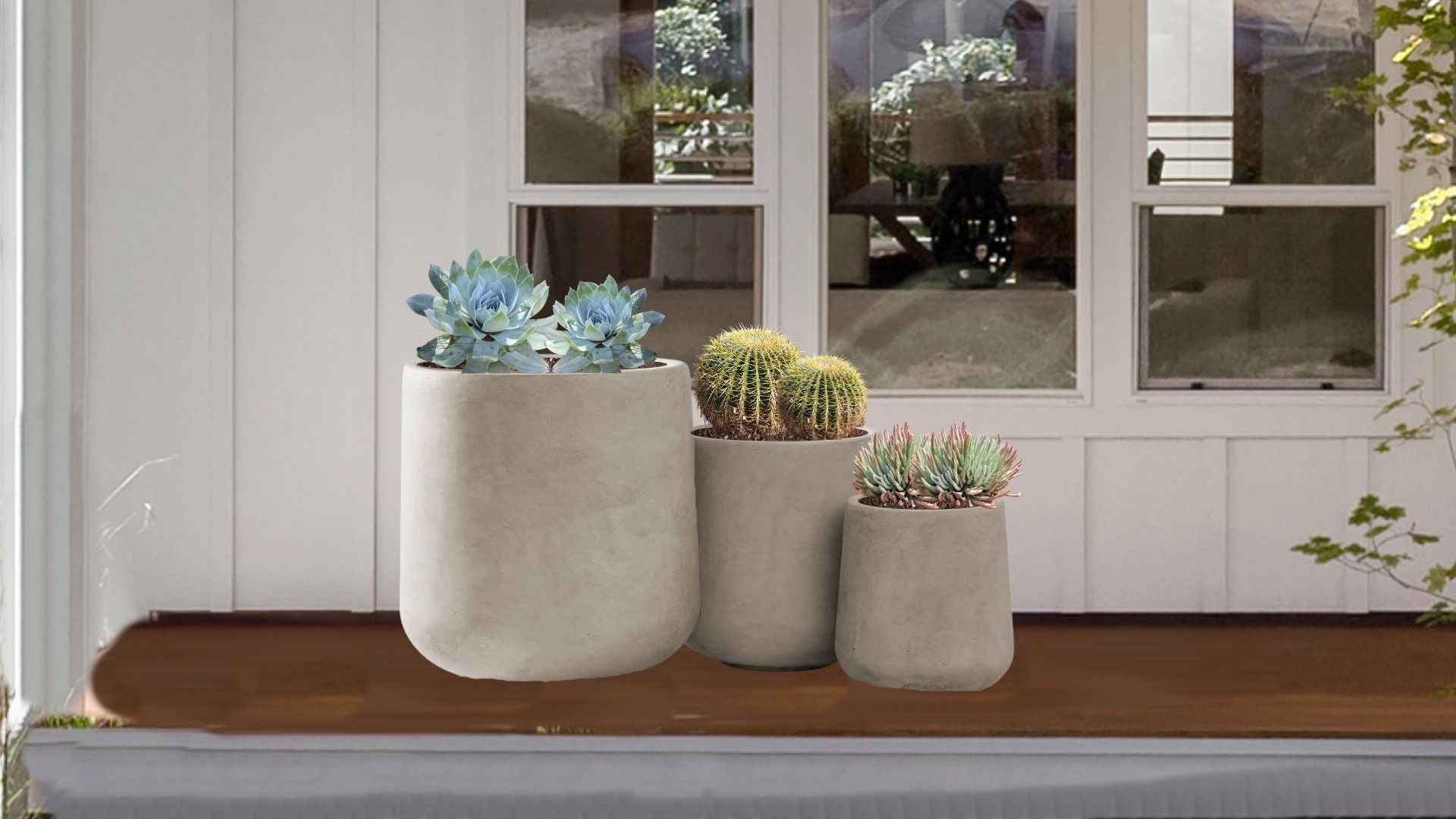Desert Oasis Native Container Garden