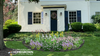 Keystone Native Shade Garden
