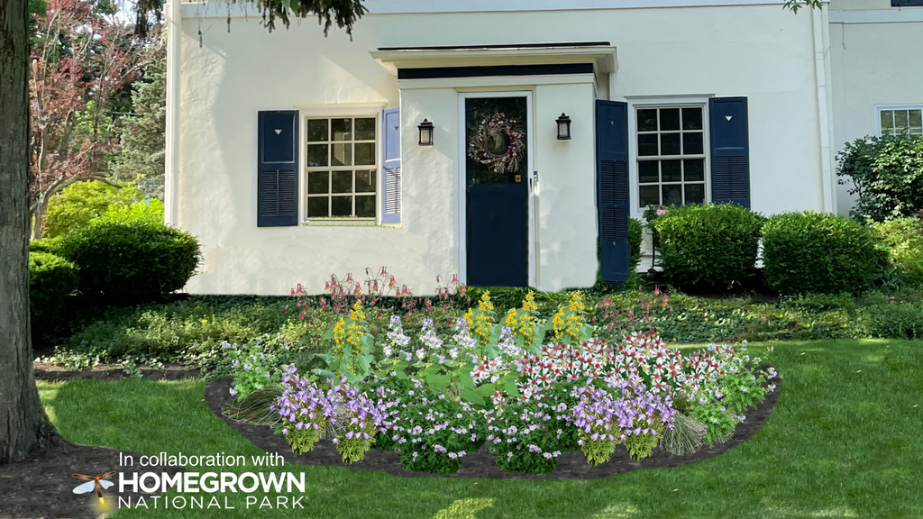 Keystone Native Shade Garden