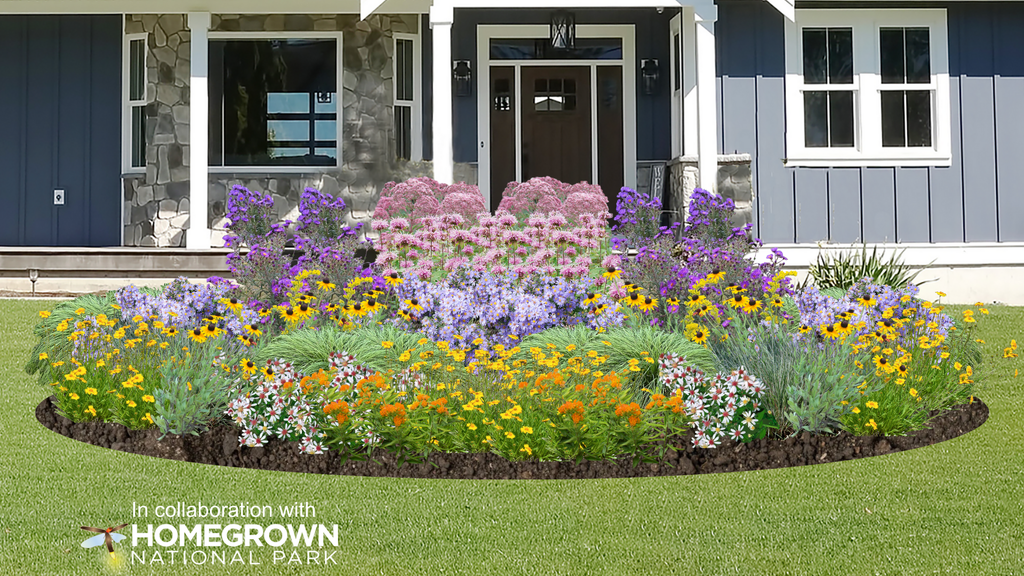 Keystone Native Sun Garden