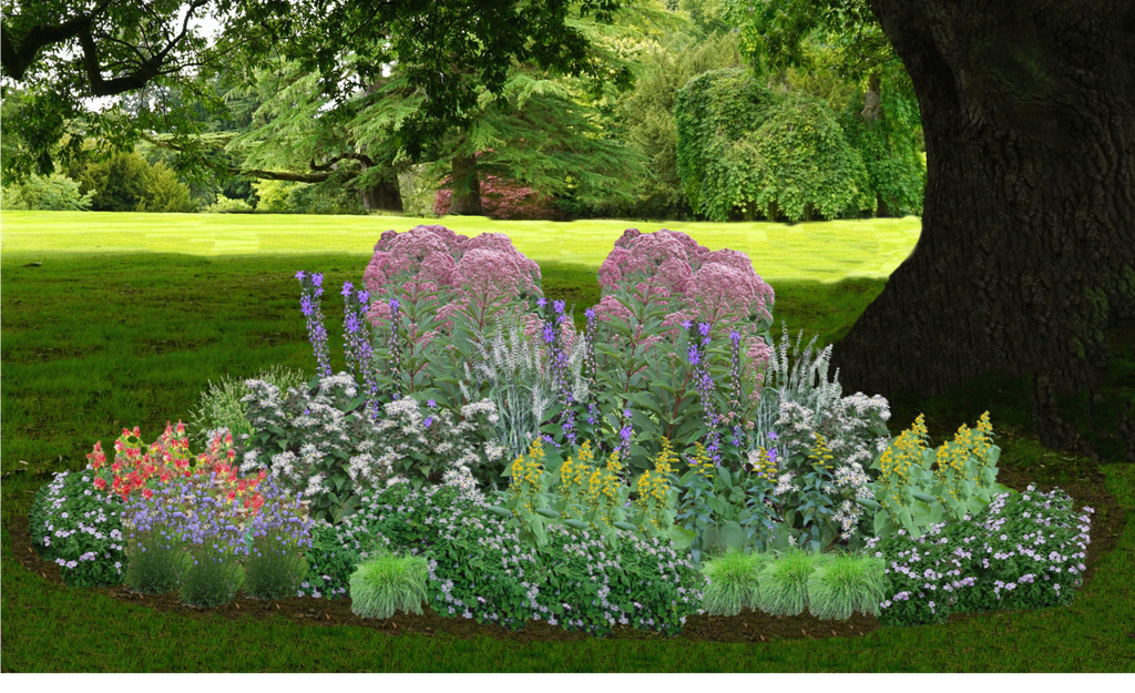 Understory Glory Native Garden