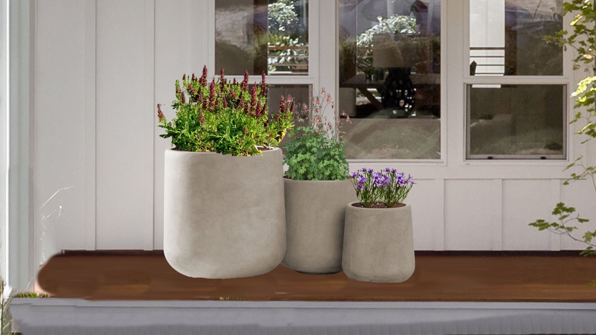 Hummingbird Hangout Native Container Garden