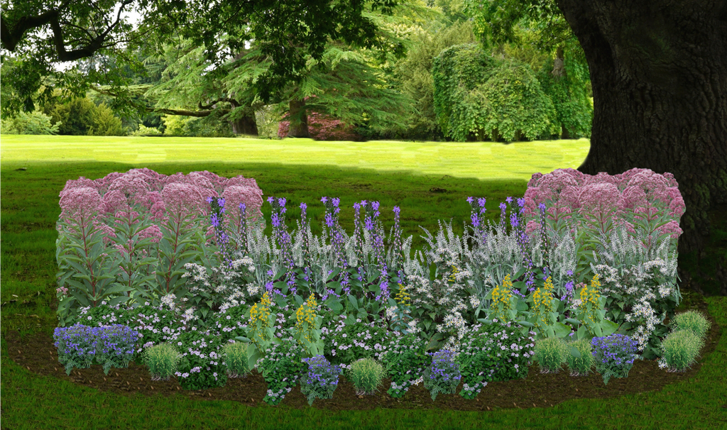 Shaded Splendor Native Garden