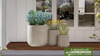 Keystone Native Container Garden
