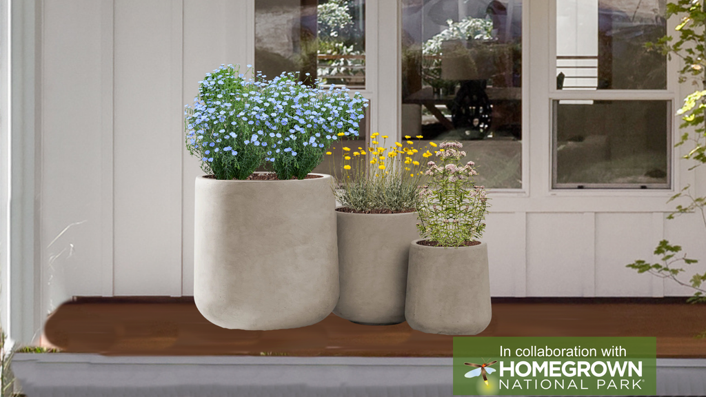 Keystone Native Container Garden