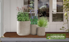 Keystone Native Container Garden for Shade 2