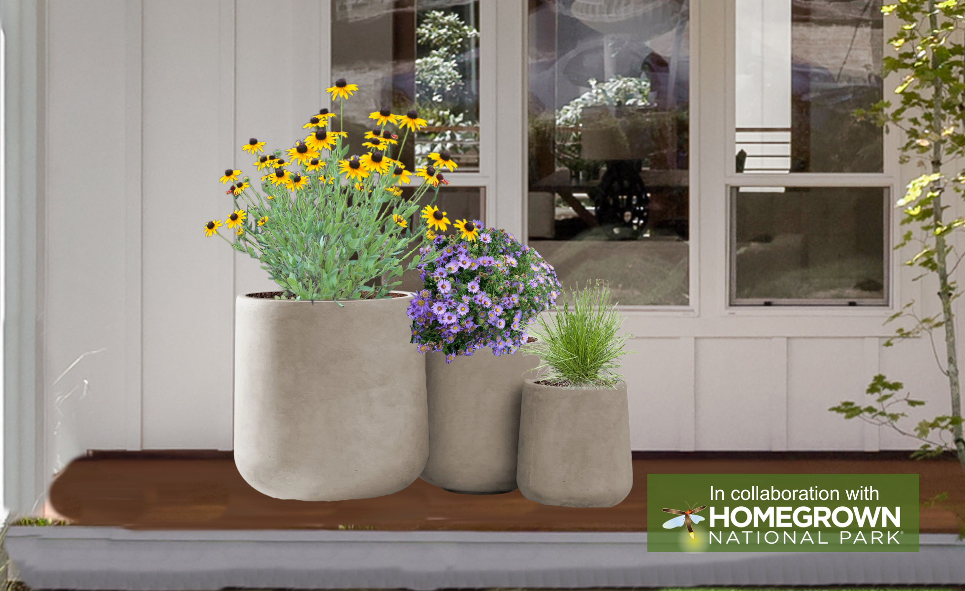 Keystone Native Container Garden for Sun 2