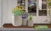 Keystone Native Container Garden for Sun 2