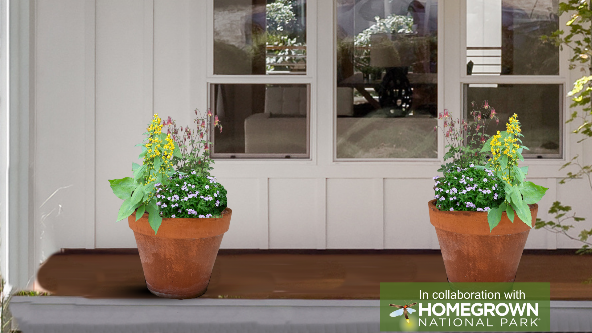 Keystone Native Container Garden for Shade