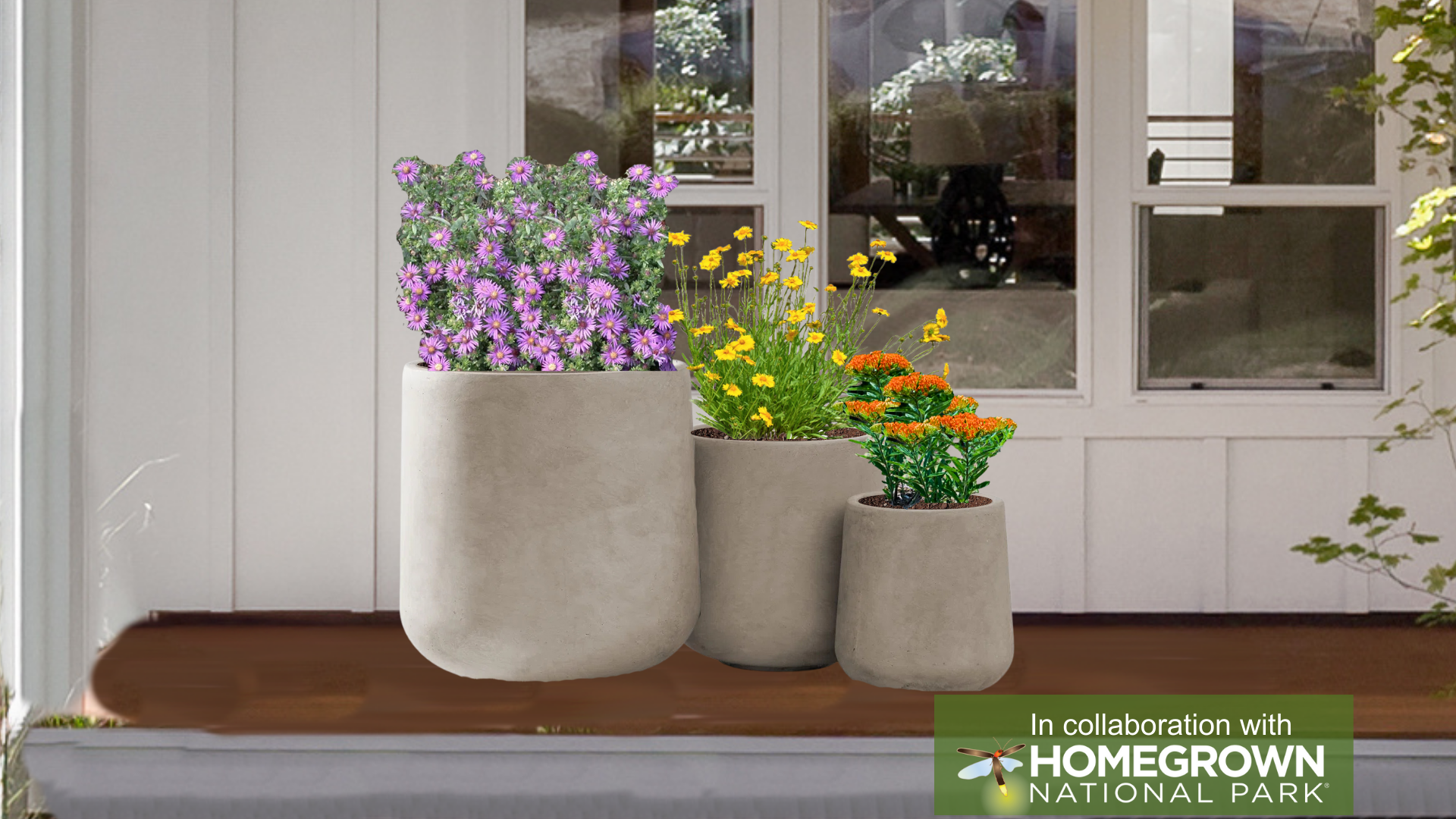 Keystone Native Container Garden for Sun