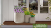 Keystone Native Container Garden for Sun