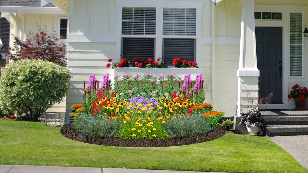 Monarch Butterfly Oasis Native Garden