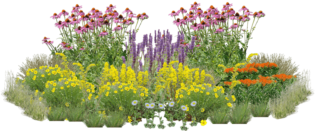 Songbird Spectacle Perennial Native Plants Collection [64 plants]