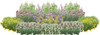 Pollinator Pastels Perennial Native Plants Collection [72 plants]