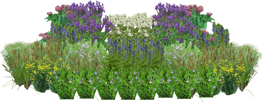 Purple Rain Perennial Native Plants Collection [72 plants]