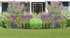 Purple Mountains Native Garden