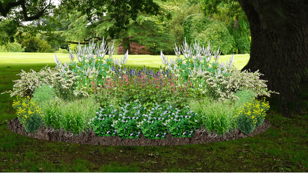 Native Shade Garden for Clay