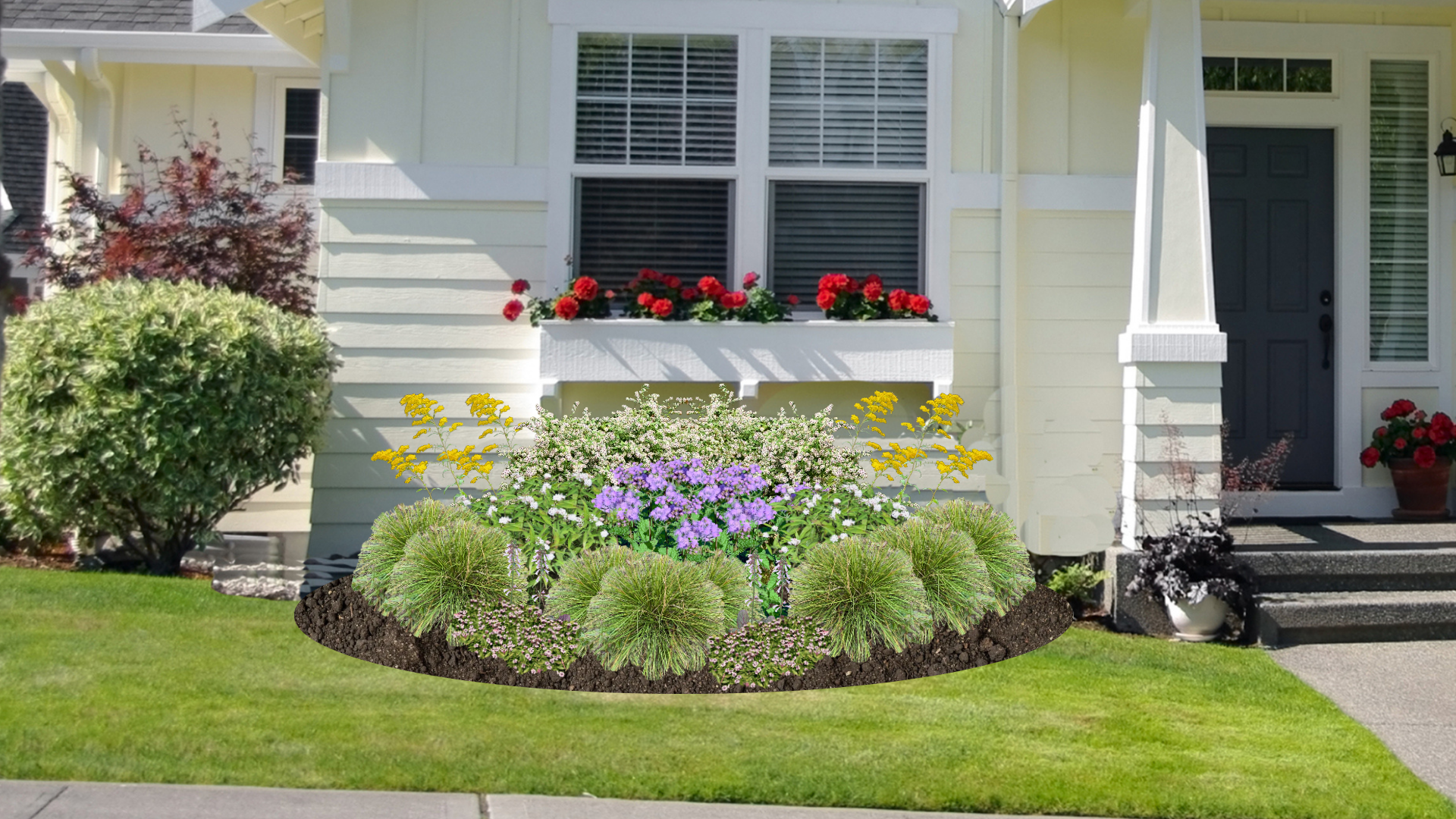 Shaded Meadow Native Garden