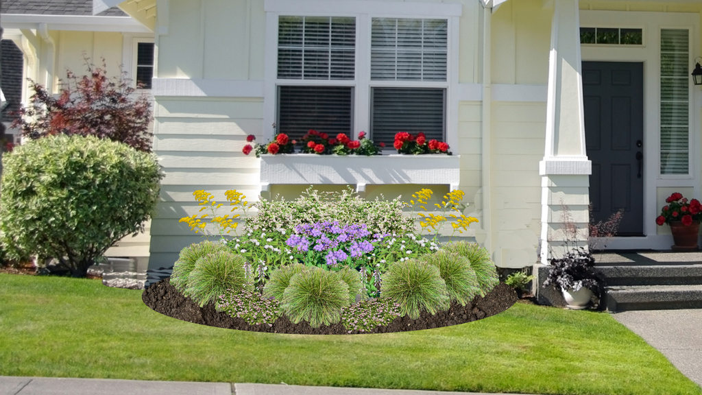 Shaded Meadow Native Garden