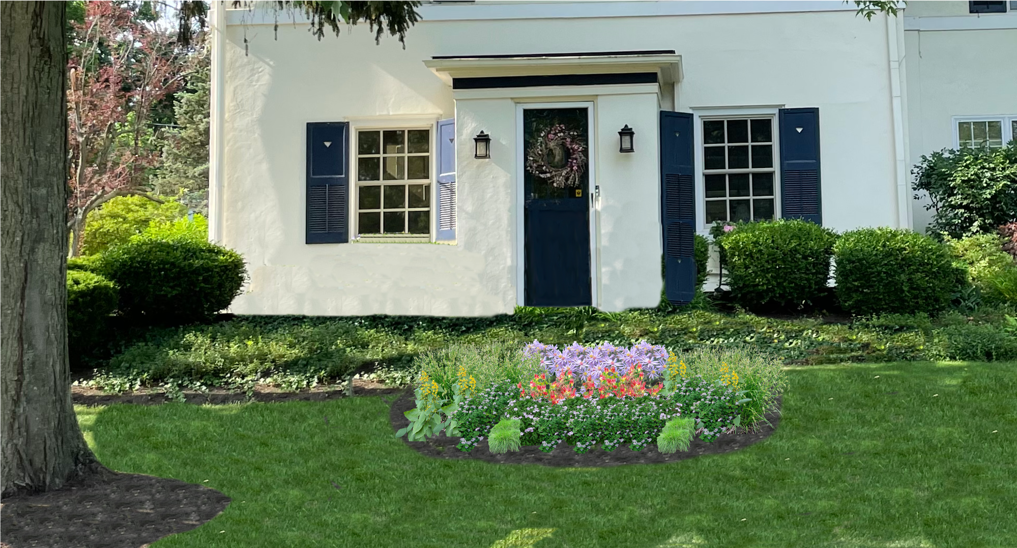 Shaded Splendor Native Garden