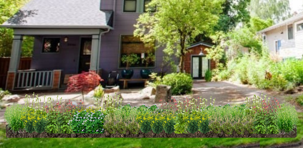 Shady Sidewalk Survivors Native Garden