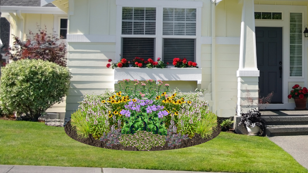 Shimmering Shade Native Garden