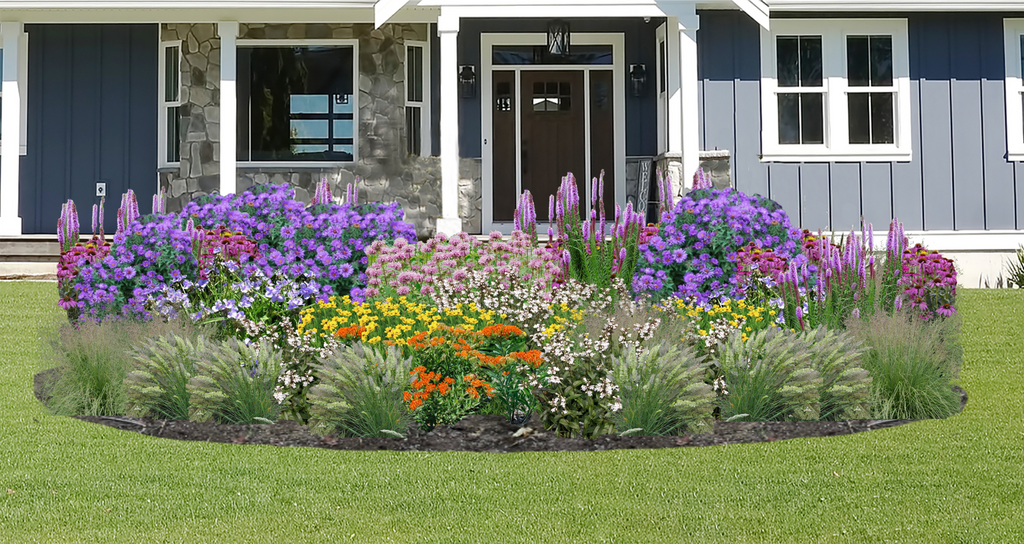 Summer Breeze Native Garden