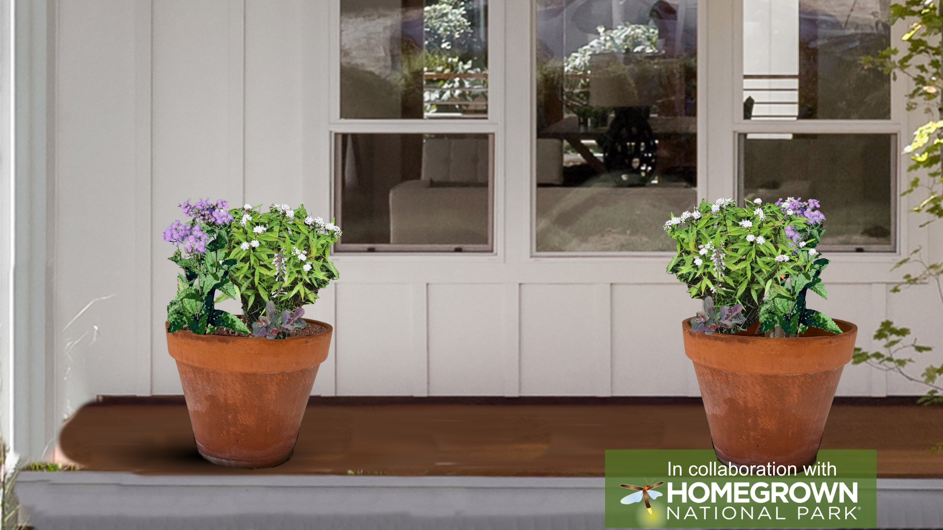 Southeast Keystone Native Container Garden for Shade